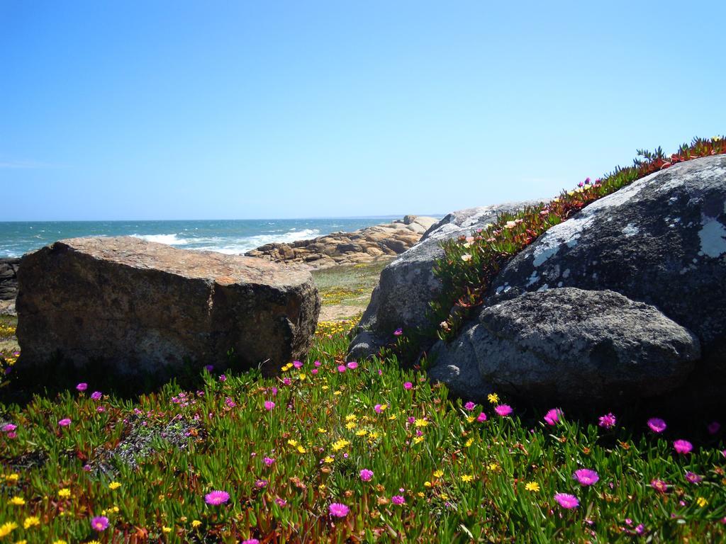 La Atrevida Bed & Breakfast Jose Ignacio  Luaran gambar