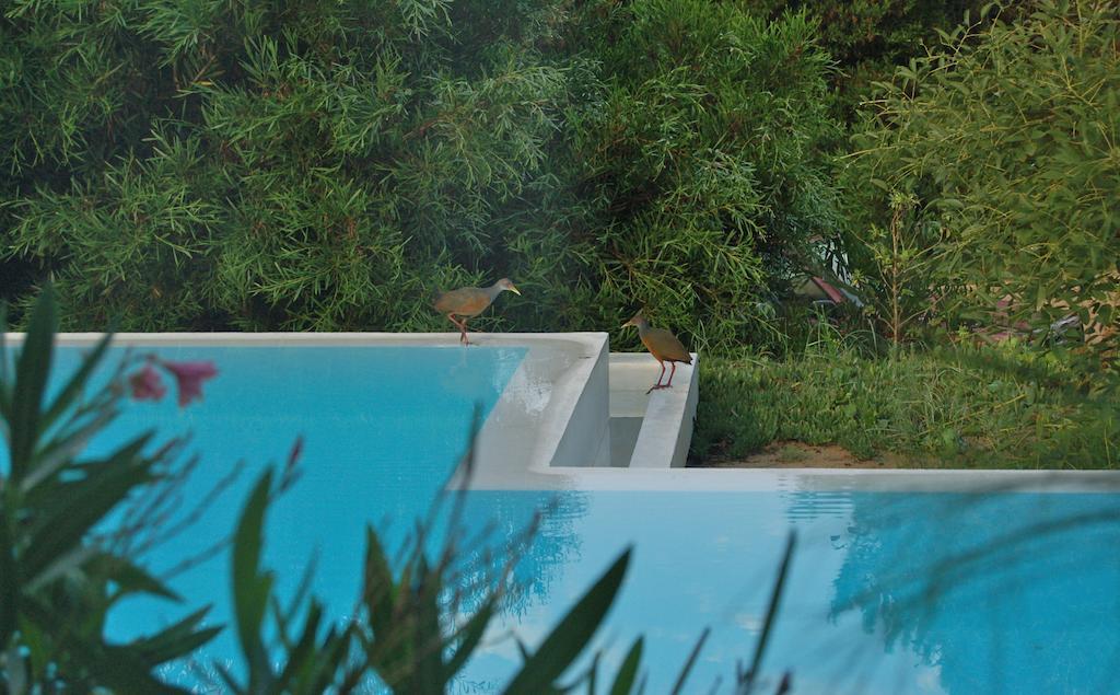 La Atrevida Bed & Breakfast Jose Ignacio  Luaran gambar