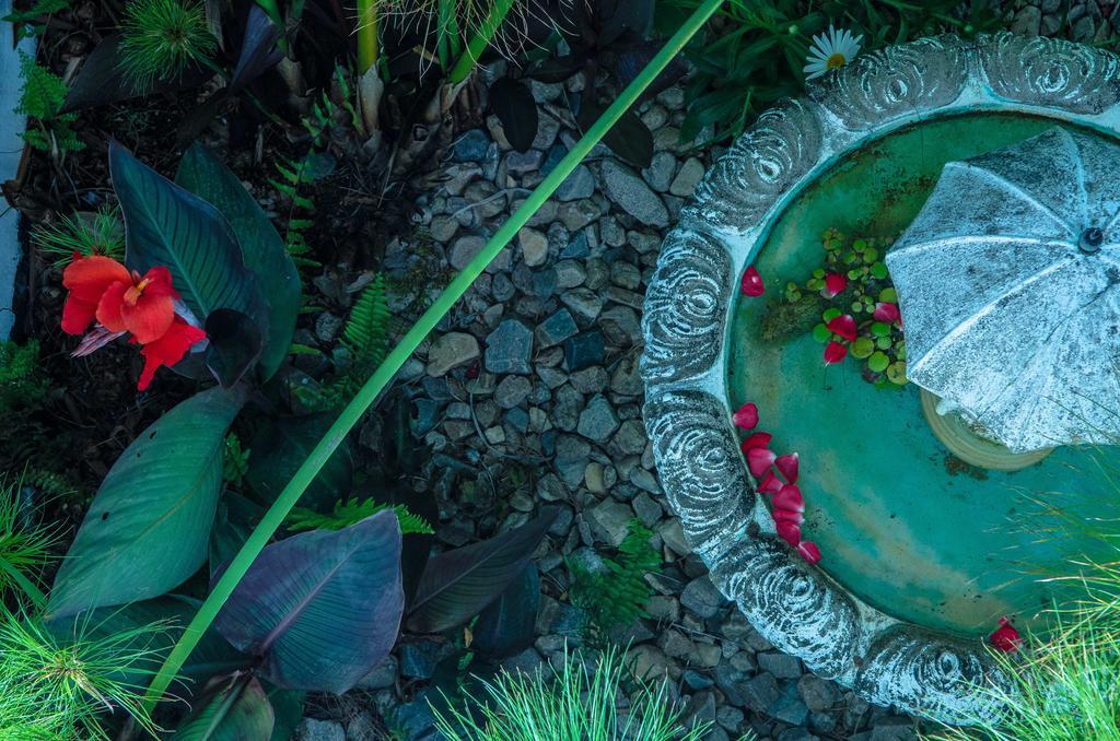 La Atrevida Bed & Breakfast Jose Ignacio  Luaran gambar